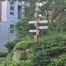 그늘막107 | [서울/우이동] 8월 마지막 주말, 우이동 파라스파라 인피니티풀 이용 후기 – 도심 속 숲속 힐링 풀캉스