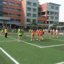 2014) 경기도 용인시 교육장배 결선경기 이미지