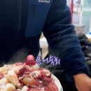수진네 이미지