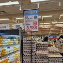 늘을2로26 | 이마트 26년 1월 세일 전단지 추천템, 고래잇 프리퀀시 와플메이커 실패 후기