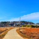 송림목장 이미지