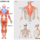 나비잠 피부관리실