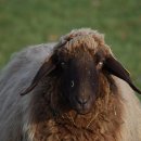 무학모텔 이미지