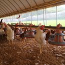 평사농장 이미지