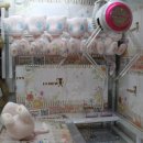 캔디게임랜드 이미지