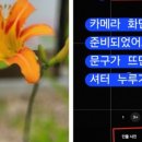 동삼3동-6 이미지