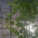 대둔산농장 이미지