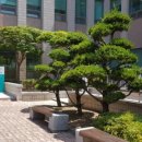 대전지방법원 서산지원