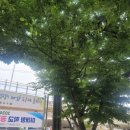 수성중학교 이미지