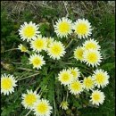 화복농장 이미지