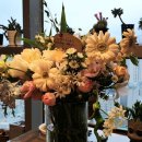 부티아블랙 이미지