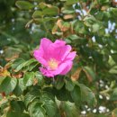 그곳휴게실 이미지