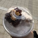 하이오 | 컴포즈 빙수 팥절미 쉐이크 팥빙수 후기 (VS 하이오커피)