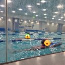 스윔아이 | 겁 많던 아이가 달라졌어요! 아쿠아마린키즈스윔 길음점 1월 수영 일기 (서이추환영)