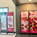 순이감귤 | 🍓빕스 반포역점 프리미어 딸기뷔페 후기 반포역 맛집 베리머치 시즌 할인·주차까지 총정리