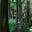 화인상사 이미지