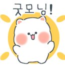 망미중앙시장 이미지