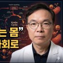 당뇨약이 점점 안 듣는 진짜 이유, 당신 몸이 이미 약에 길들여졌기 때문입니다 이미지