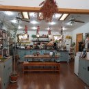 숲속앤정원 이미지