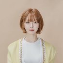 초아 카카오 검색결과