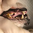 우장산동물의료센터 이미지