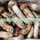 강릉동양한의원 이미지