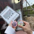 롯데월드 뽑기방 이미지