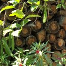 대곡리경로당 이미지