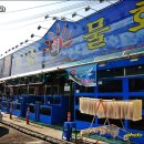 일출회물회 이미지