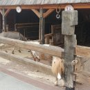 (주) 정정당당 이미지