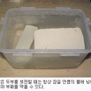 참자연음식연구소