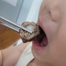 [아이반찬배달] '유기농키즈앤푸드 유아반찬'으로 편해진 반찬배달서비스 식사시간 후기
