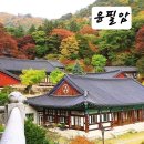 제이드스크린골프 이미지