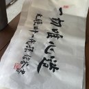 축령산 코지인 이미지