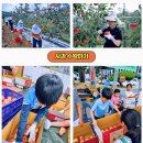 거창-고제-7 이미지