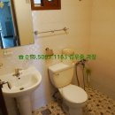 하단동1163 이미지