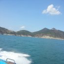 배꼽친구 이미지