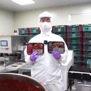 홍익농장 이미지