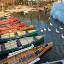 국민힐링 이미지