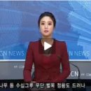 종합뉴스채널