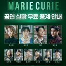 루이스테이 이미지