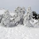 한라산콘도미니엄 이미지