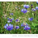 성서종합약국 이미지