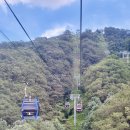 대명목장 | 홍천 비발디파크 곤돌라, 양떼목장 아기랑 다녀온 내돈내산 솔직후기