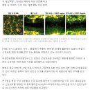 북부한의원 이미지