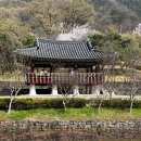 송자대전판 | [대전 명소] 우암사적공원 벚꽃 구경 후기 (벚꽃 현황, 주차장 및 운영 시간 안내)