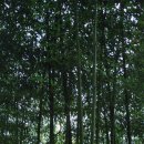 청련암 입구 이미지