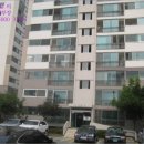 동아목련 이미지