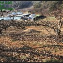 대산리축사 이미지