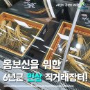 몸보신 음식? 6년근 인삼 직거래장터 방문 후기!